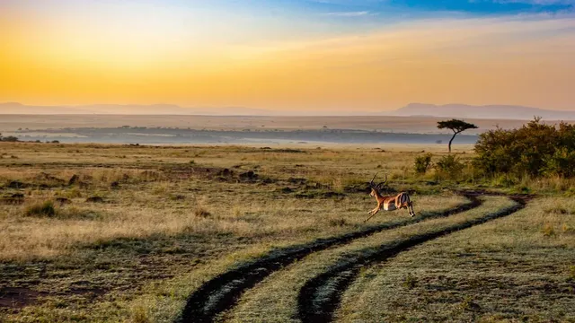 Savanna Bracelet