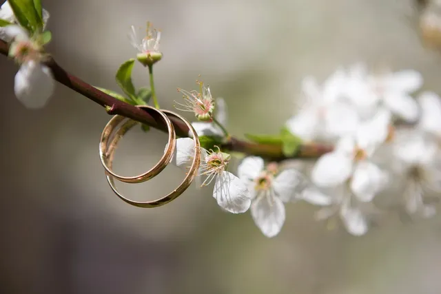 Theodore Ring Set